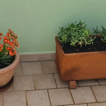 San Luca - Penthouse Apartmán